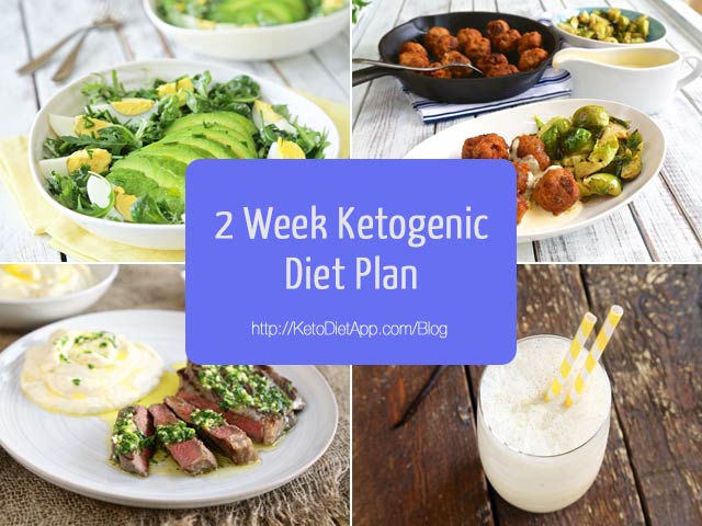 ... to Know About Carbs on a Low-Carb Ketogenic Diet | The KetoDiet Blog