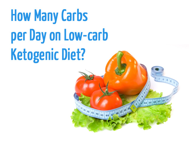 low carb diet 20 grams per day
