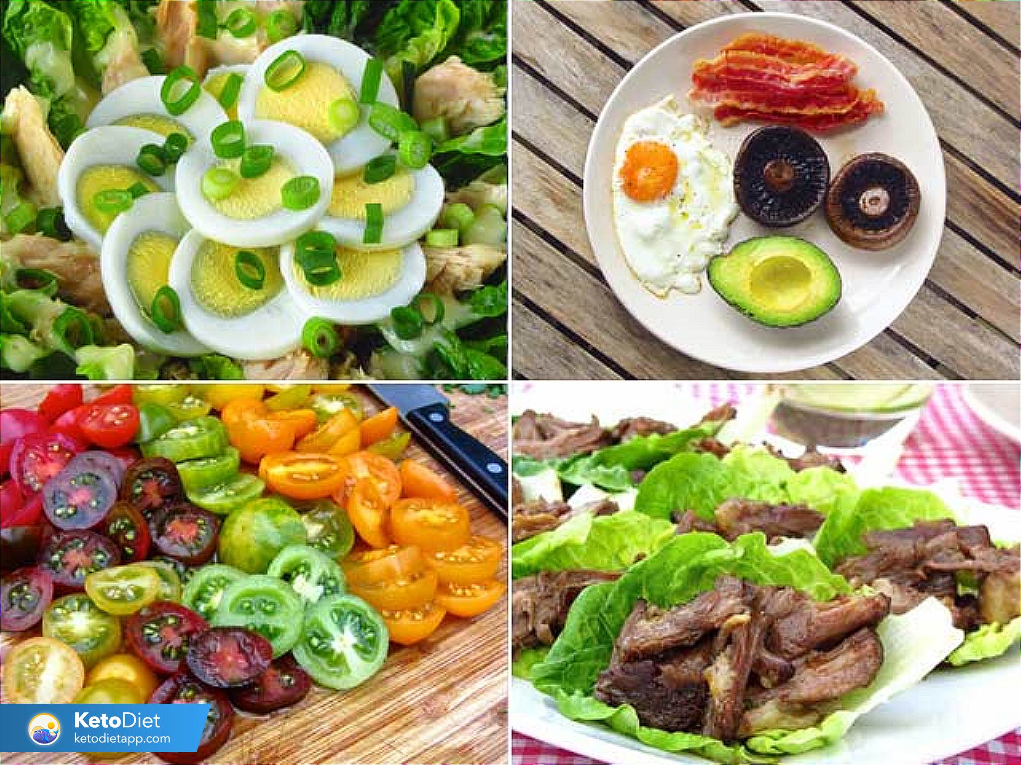 Healthy low-carb, keto and paleo recipes plus free guides and diet plans to...