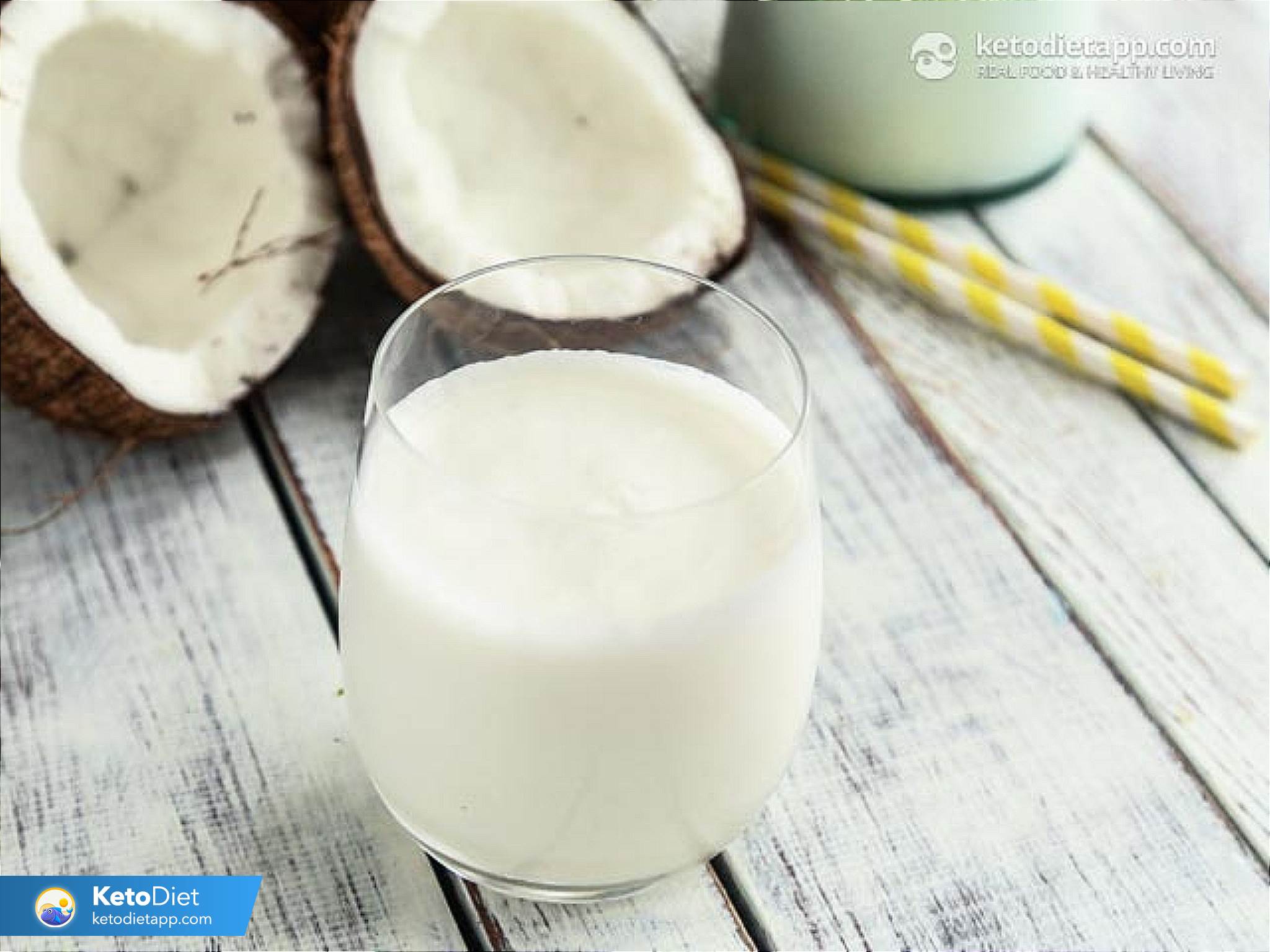 How To Make Coconut Milk Kefir Ketodiet Blog